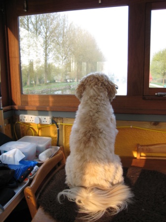 Tilly lookout